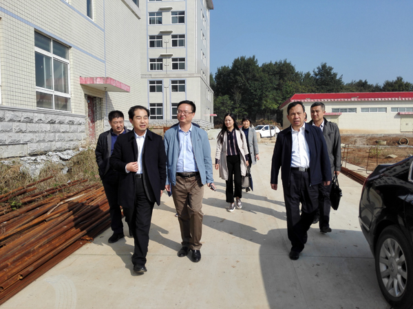 河南省衛(wèi)計(jì)委副主任、省中醫(yī)局局長張重剛一行蒞臨市中醫(yī)院視察工作